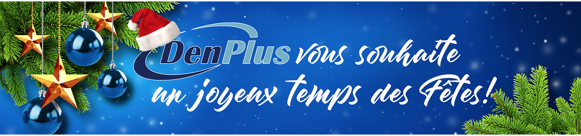 Joyeuses Fêtes 2025