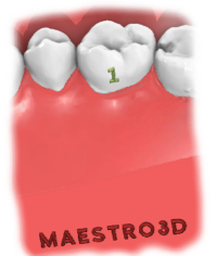 Maestro 3D | Dental Studio | Ortho Studio | 3D Label