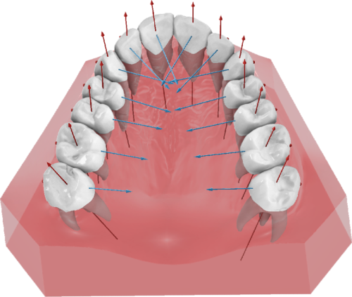 maestro3d Dental Studio | Ortho Studio | Virtual Setup